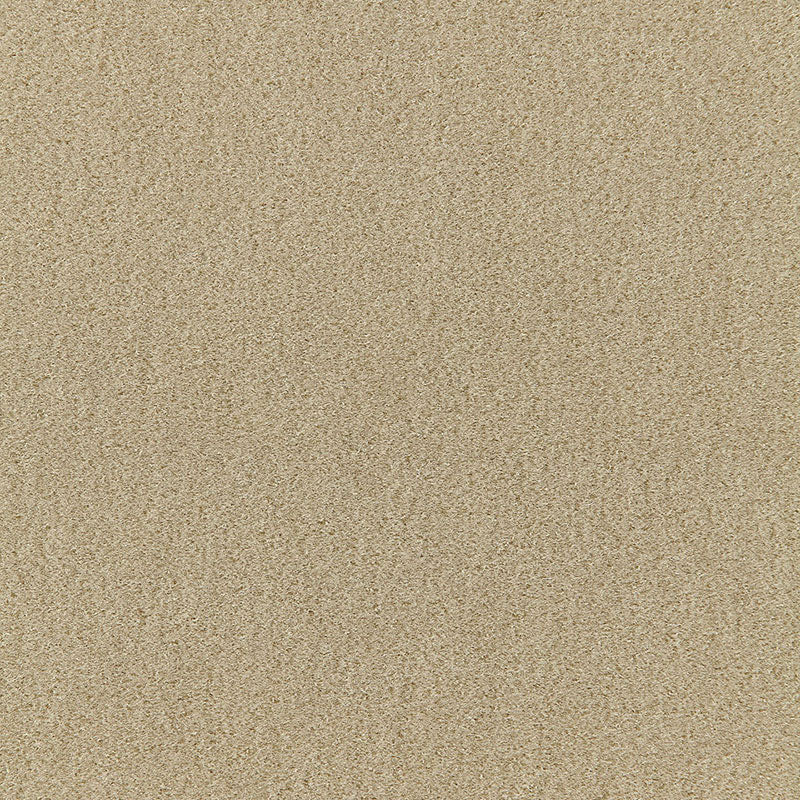 San Carlo Mohair Velvet Pebble