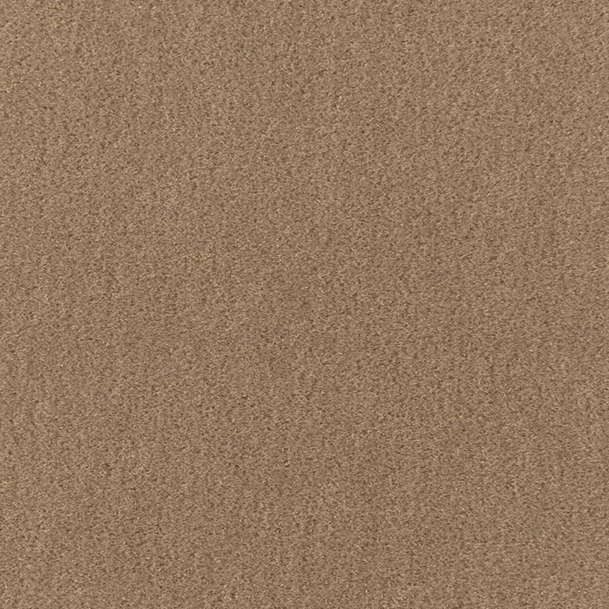 SAN CARLO MOHAIR VELVET SPARROW