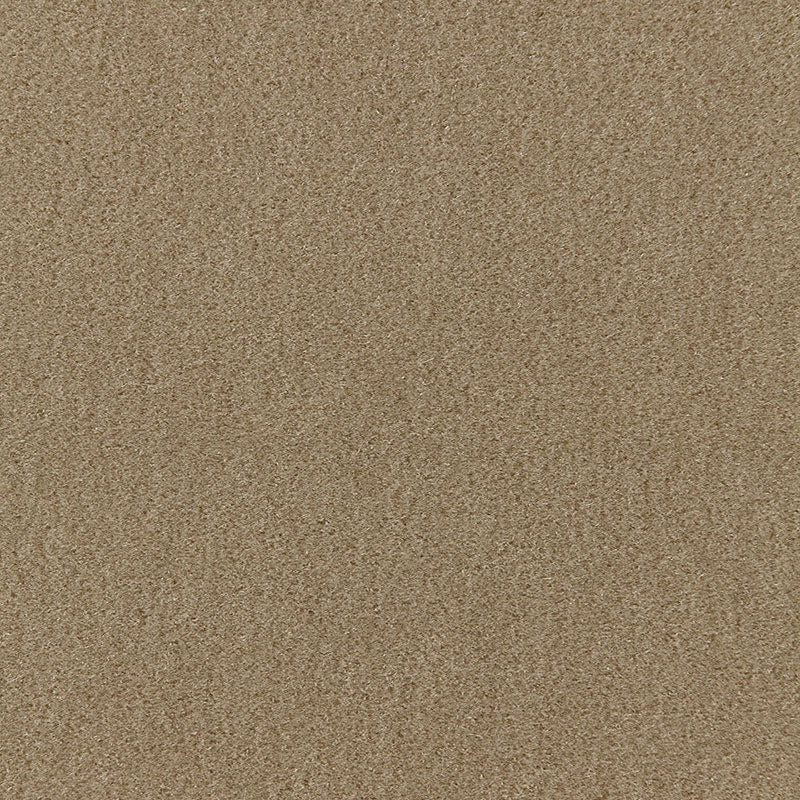San Carlo Mohair Velvet Sage