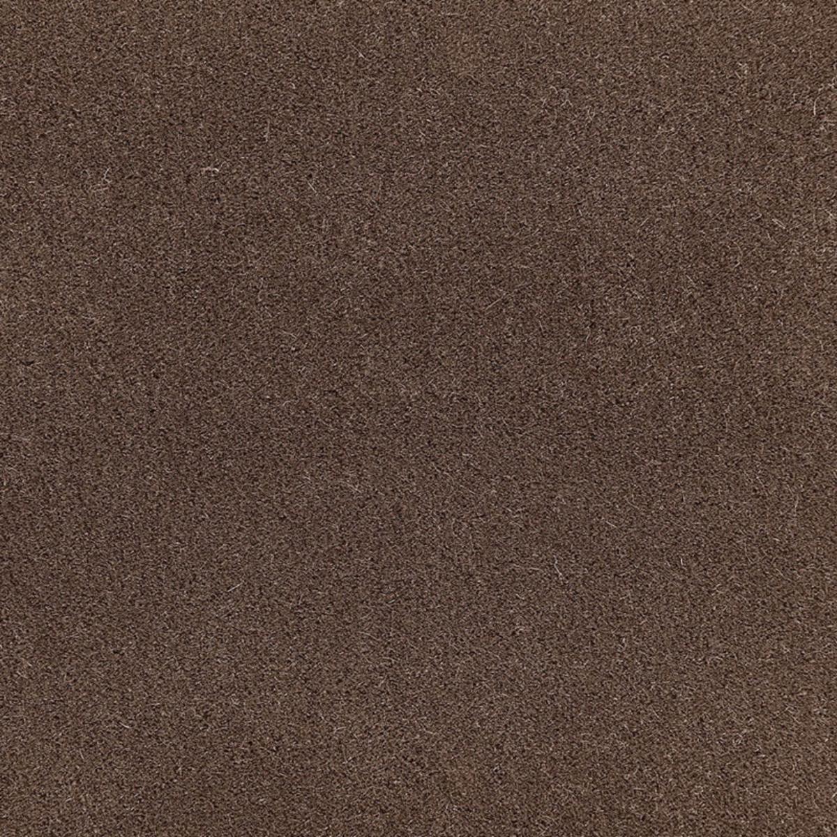 SAN CARLO MOHAIR VELVET MINK