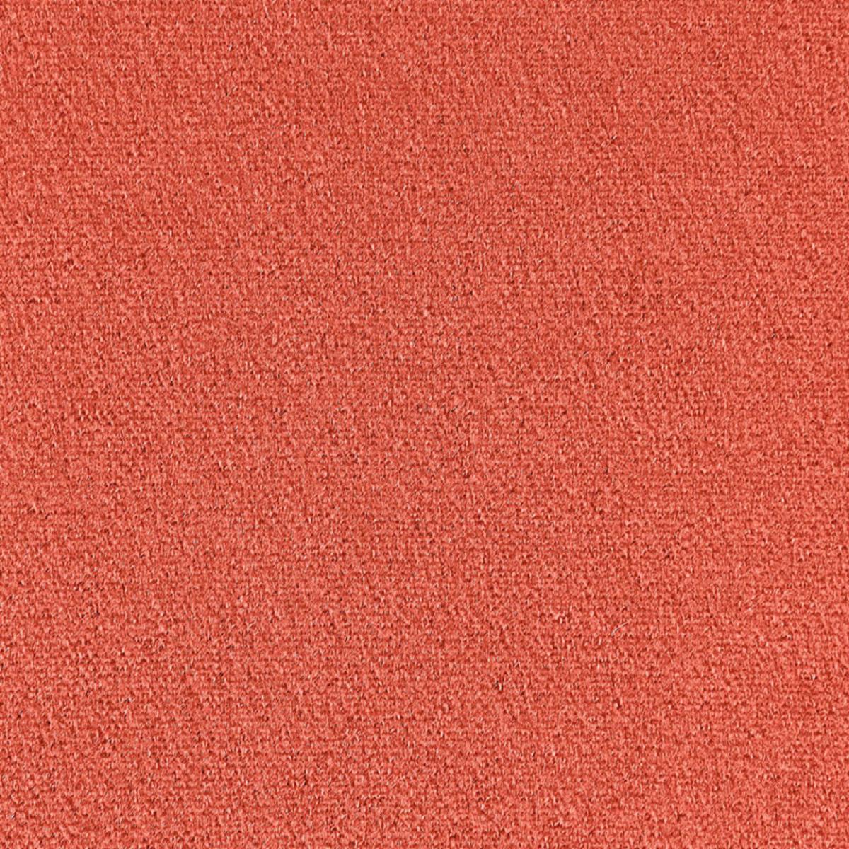 PALERMO MOHAIR VELVET CAMEO