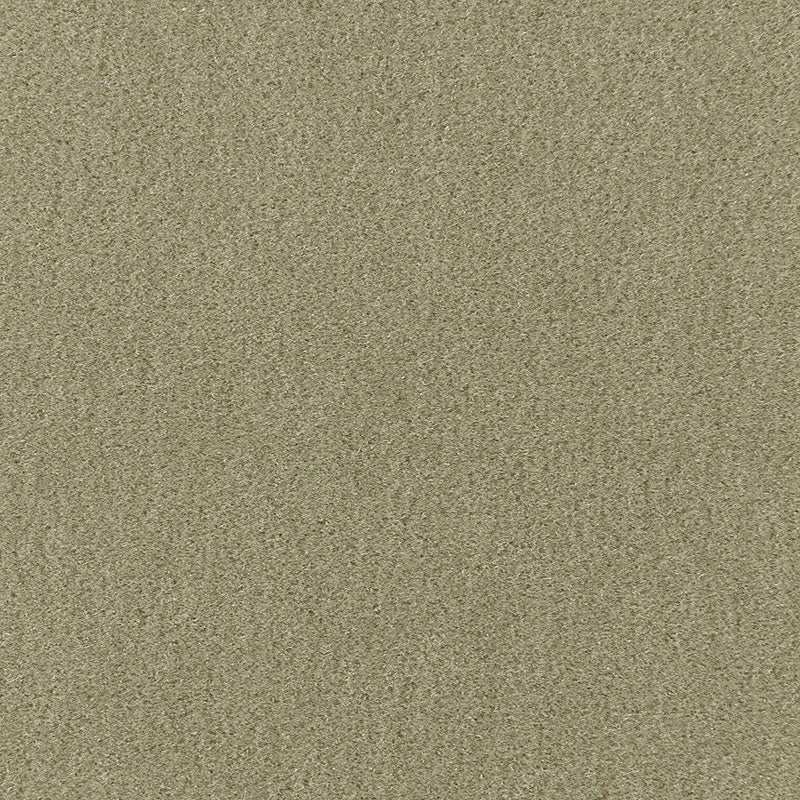 PALERMO MOHAIR VELVET LICHEN
