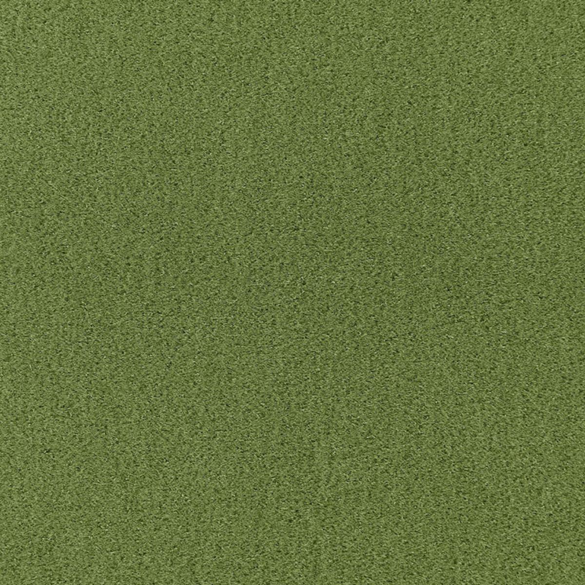 PALERMO MOHAIR VELVET GRASS
