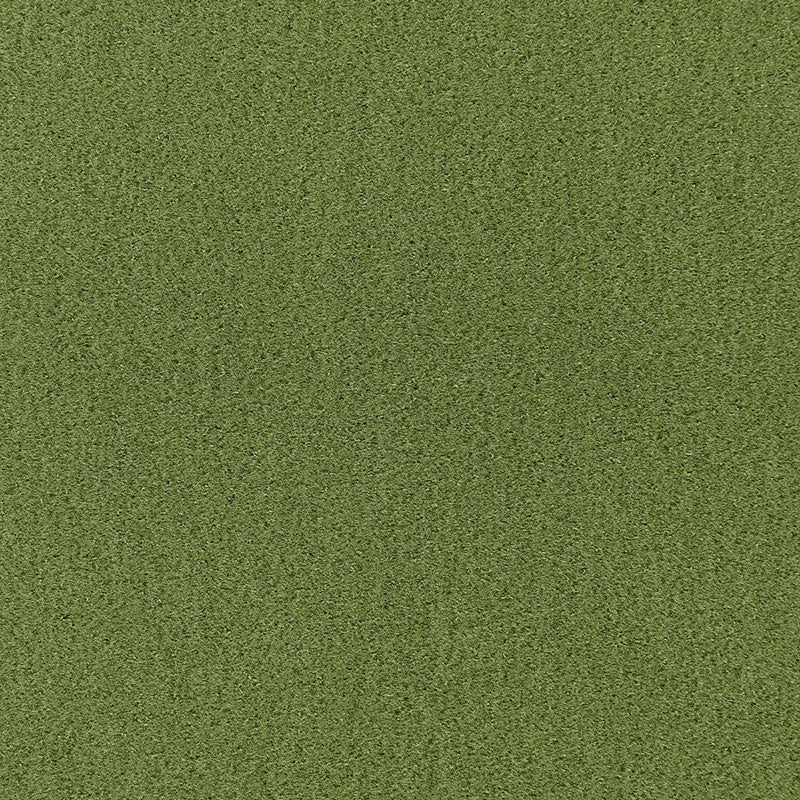 PALERMO MOHAIR VELVET GRASS