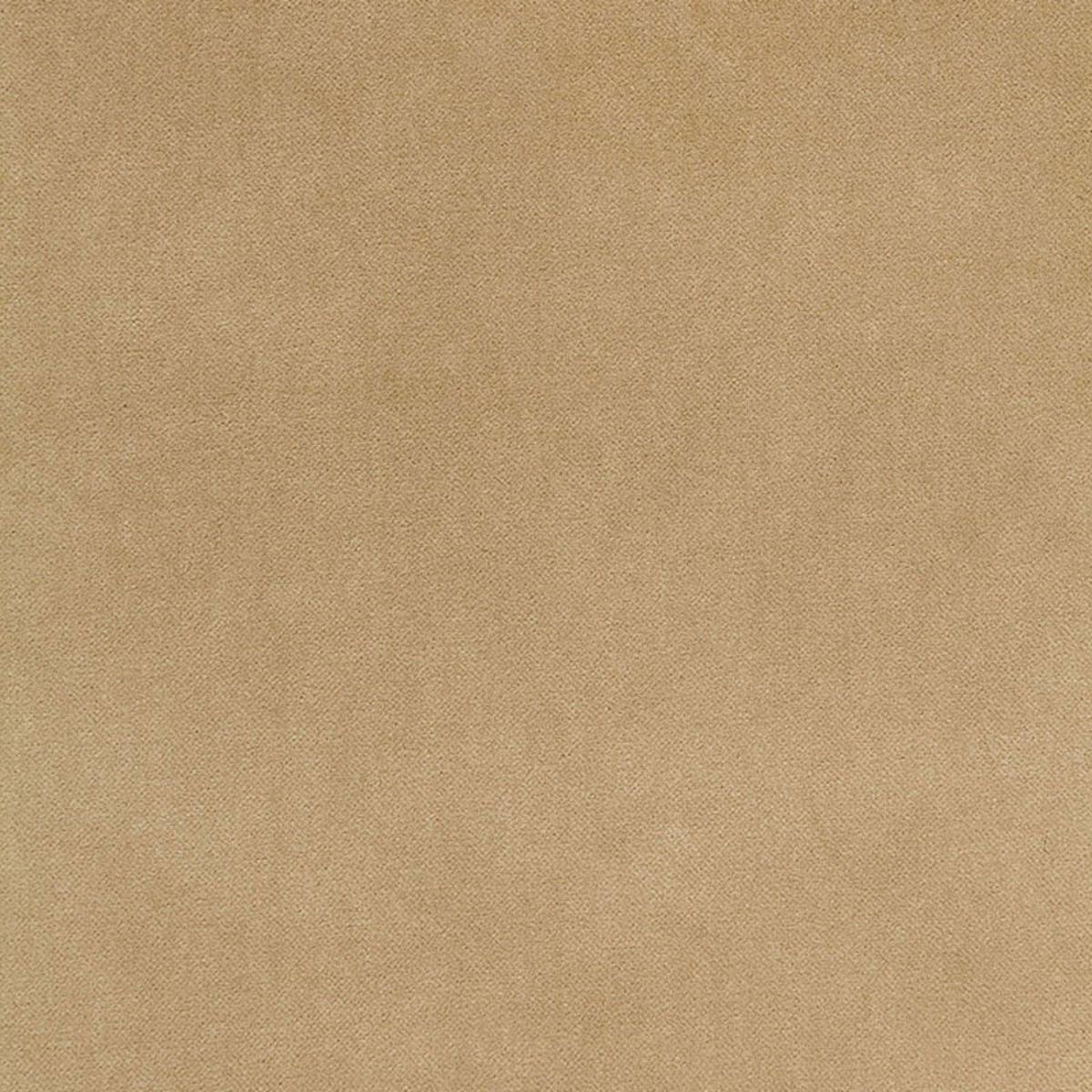 Schumacher BAYEUX VELVET PUTTY Fabric | Atlanta Fabrics