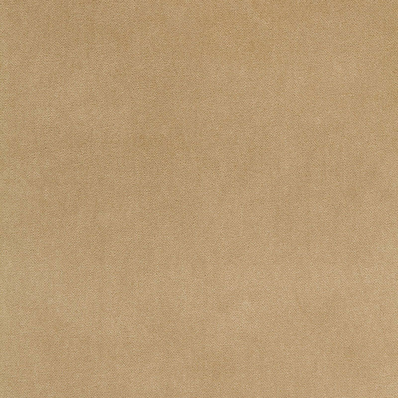 Schumacher BAYEUX VELVET PUTTY Fabric | Atlanta Fabrics