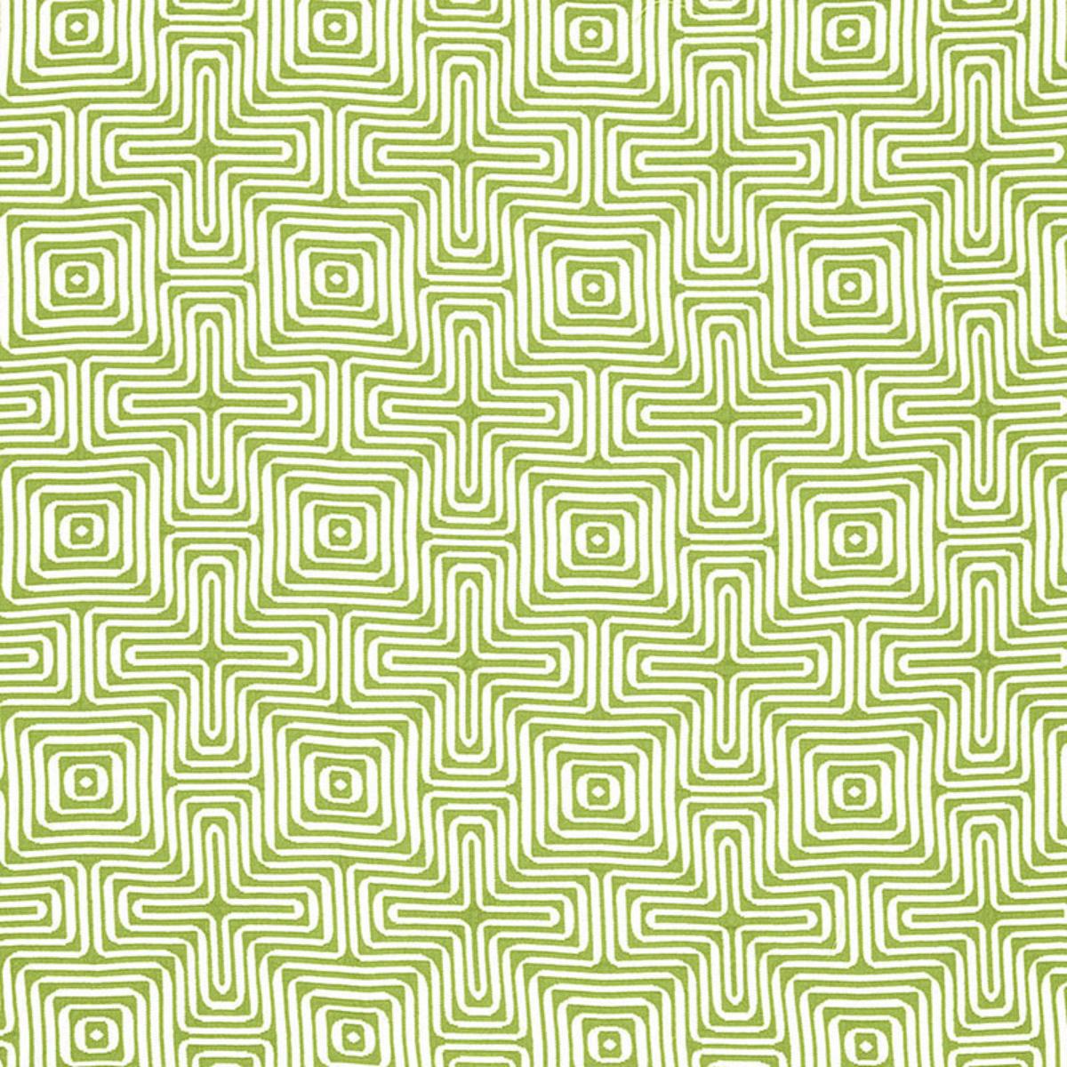 AMAZING MAZE INDOOR/OUTDOOR PALM