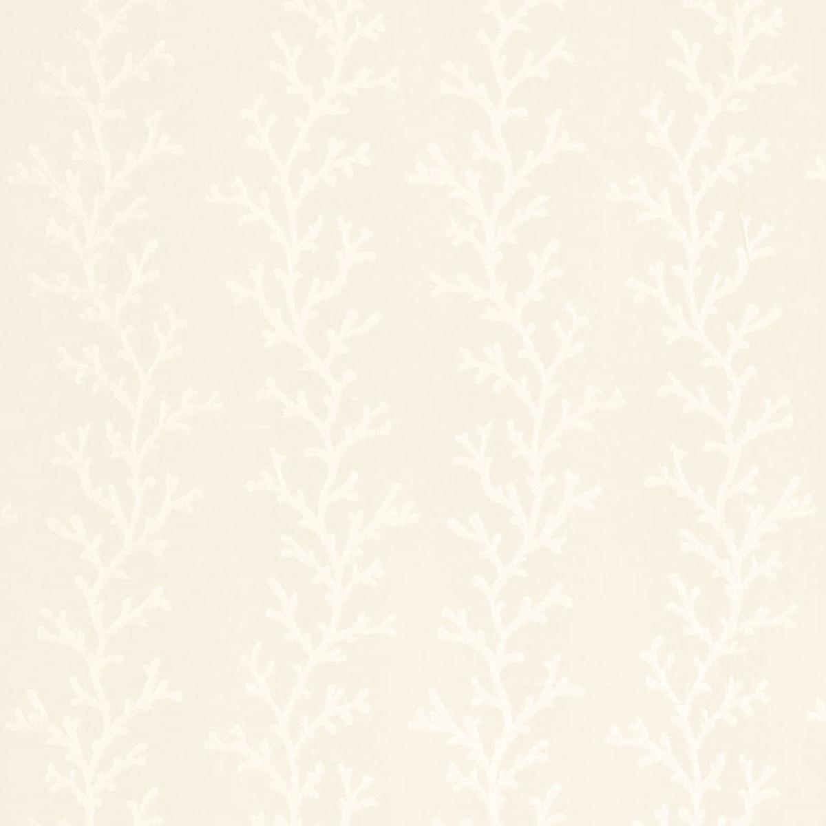 CORAL SHEER POLAR WHITE / ECRU