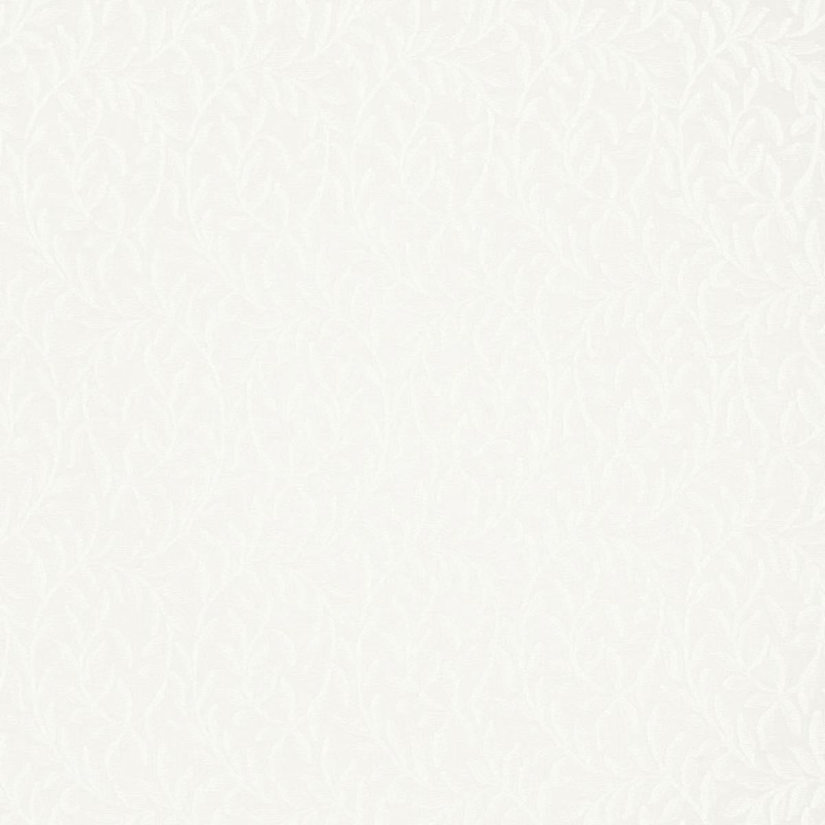 FERNWOOD SHEER NATUREL