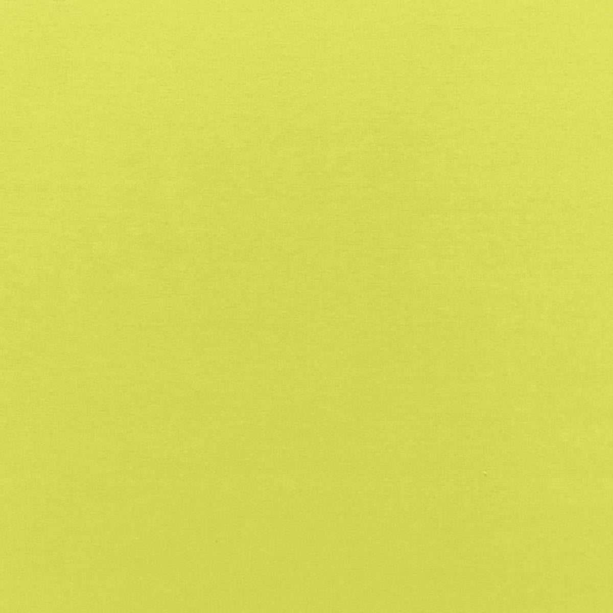 Schumacher SOPHIA VELVET LIME Fabric | Atlanta Fabrics