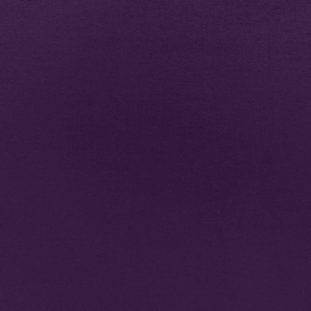 SOPHIA VELVET AFRICAN VIOLET
