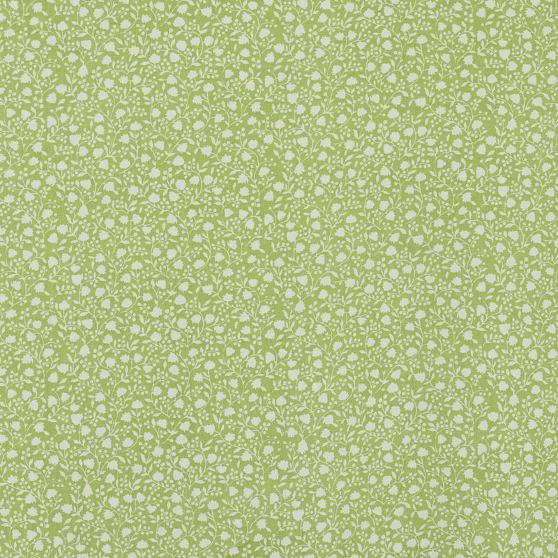 Schumacher ELLIE CELERY Fabric | Atlanta Fabrics