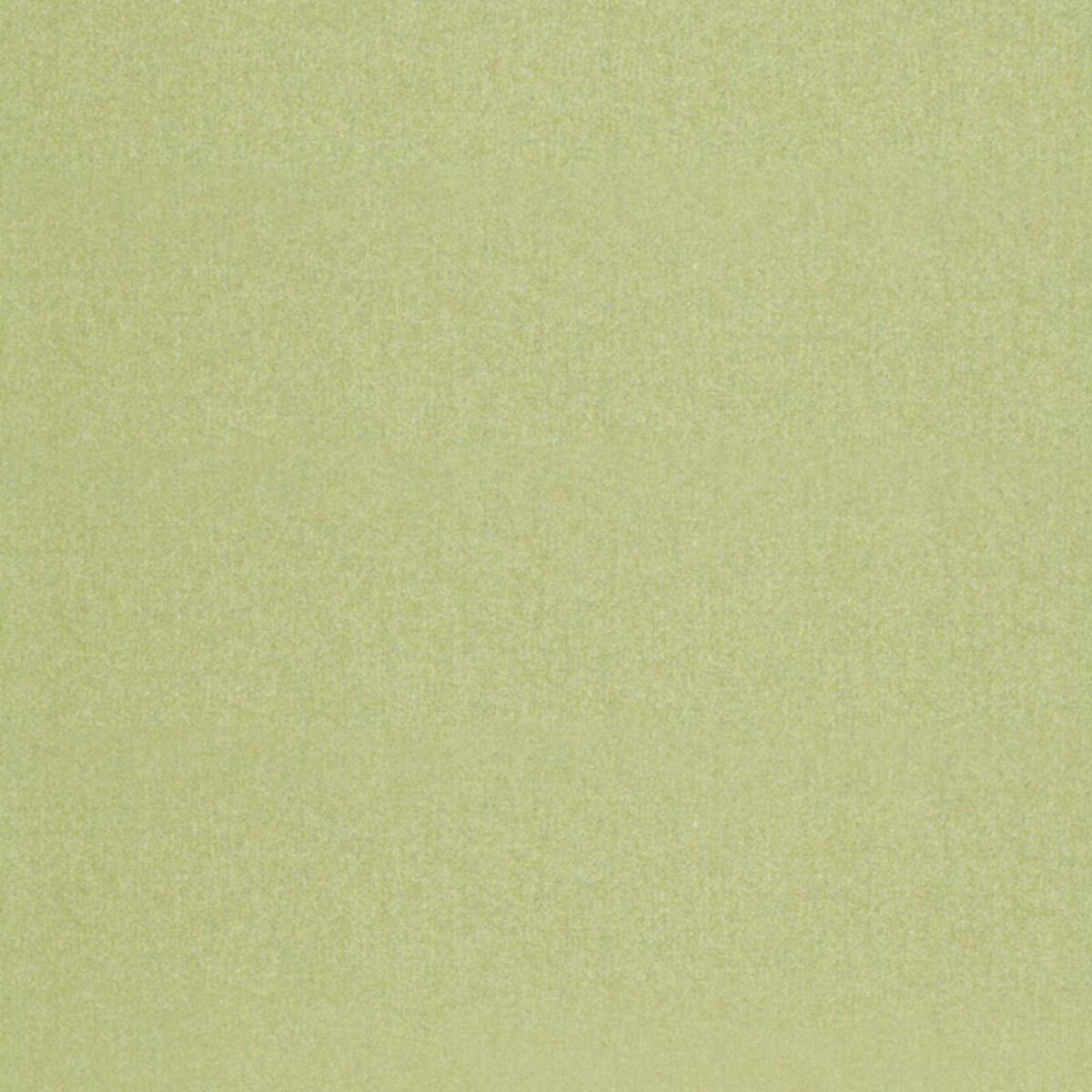 CHESTER WOOL ALOE