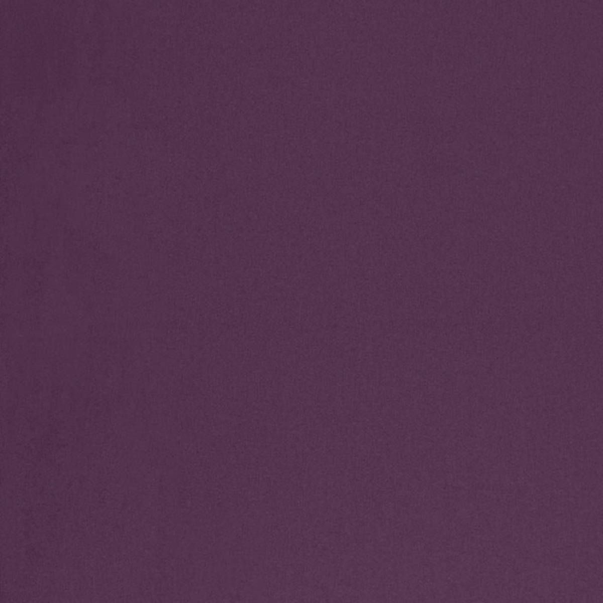 CHESTER WOOL IRIS