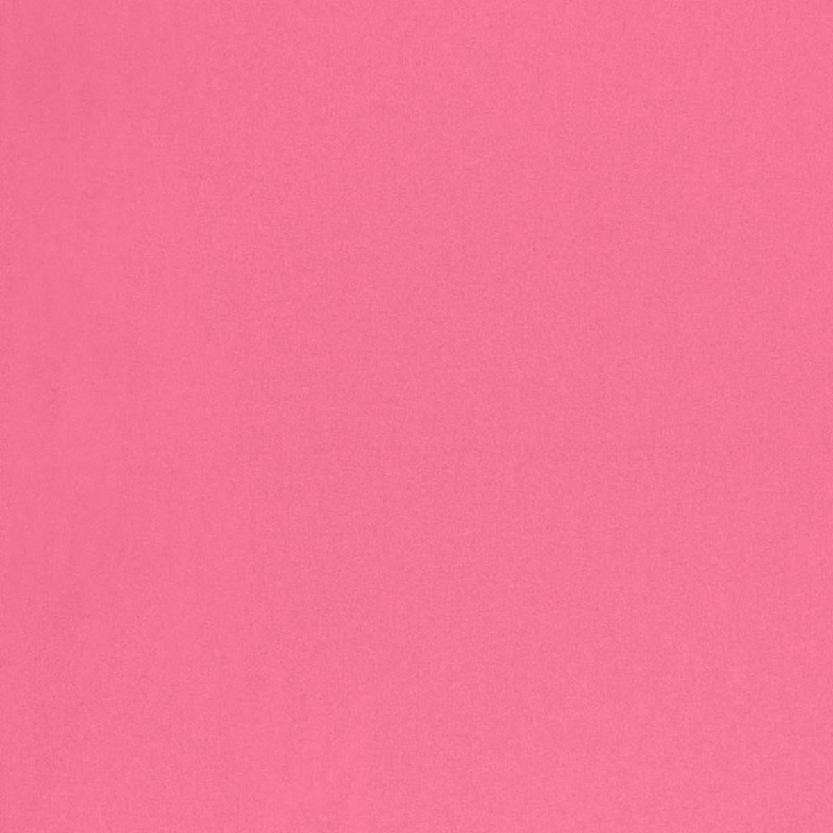 CHESTER WOOL AZALEA