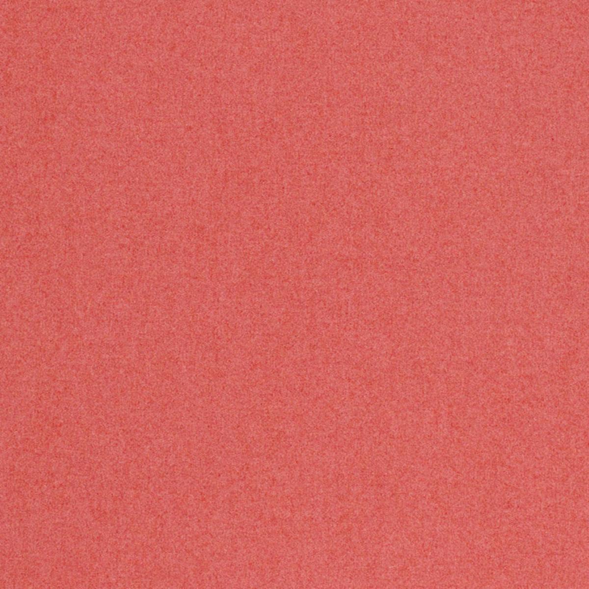 CHESTER WOOL BERRY
