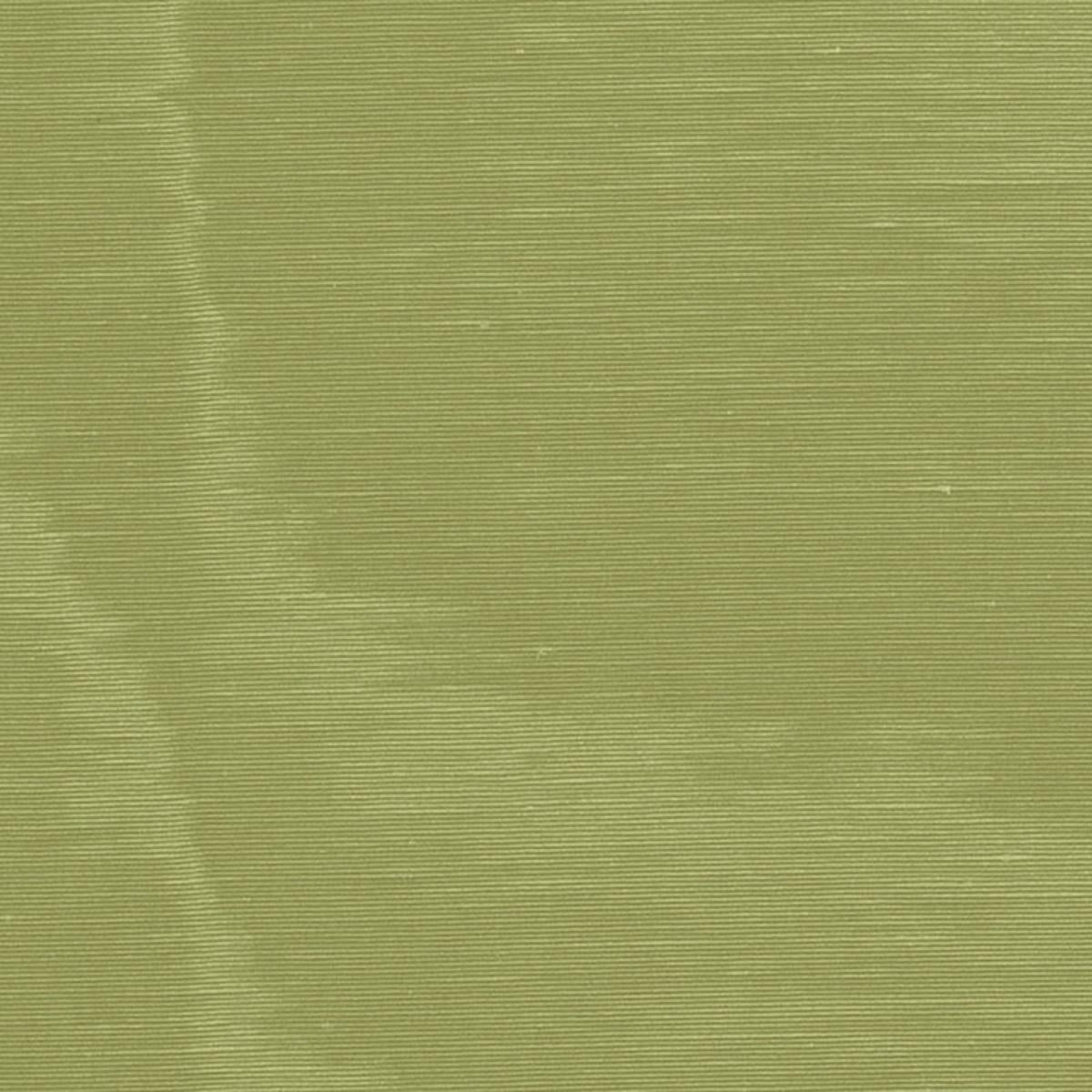 INCOMPARABLE MOIRÌä OLIVE