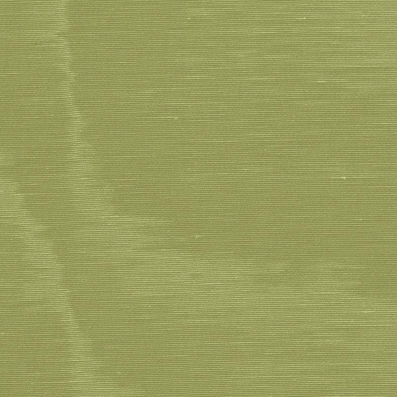 INCOMPARABLE MOIRÌä OLIVE