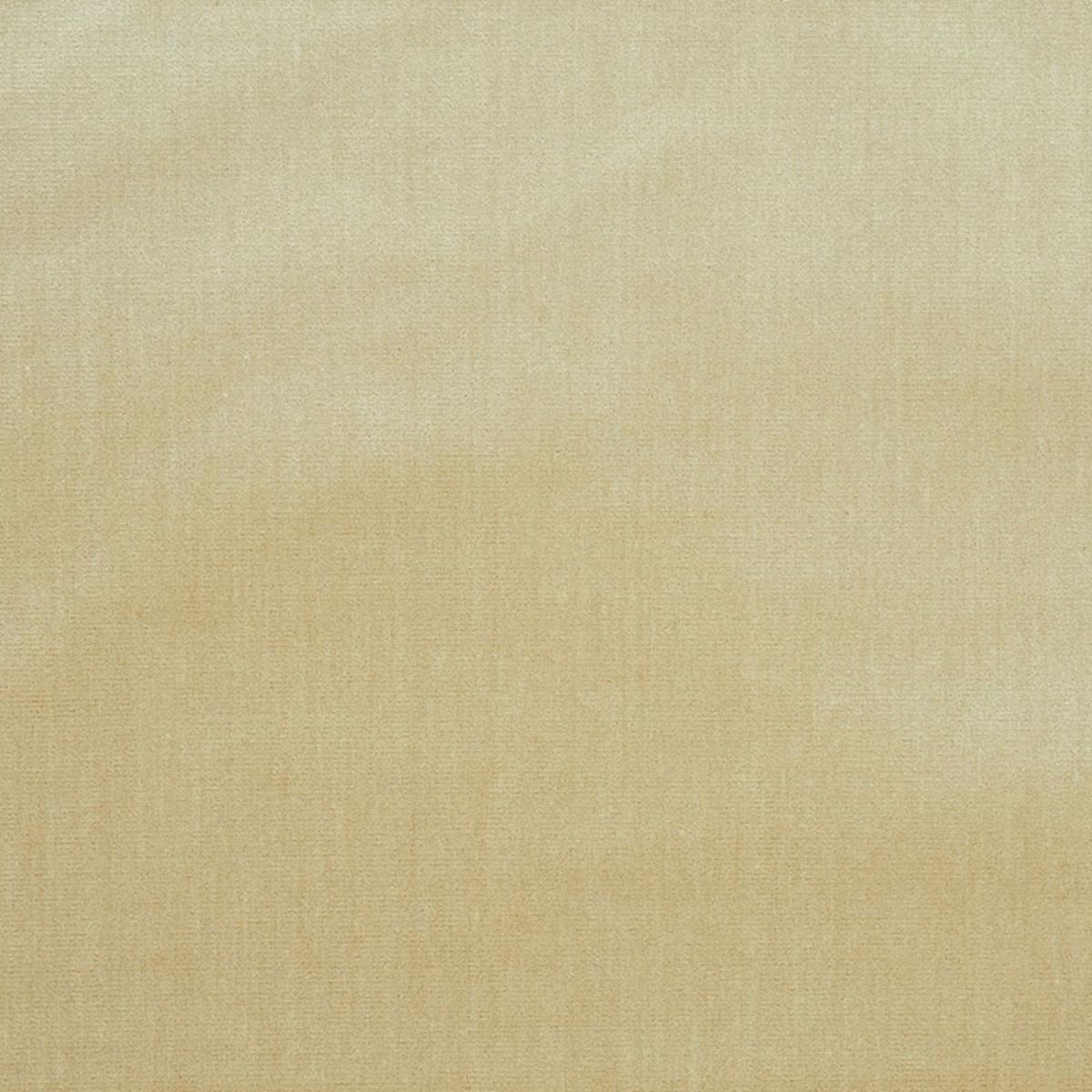 VENETIAN SILK VELVET OYSTER