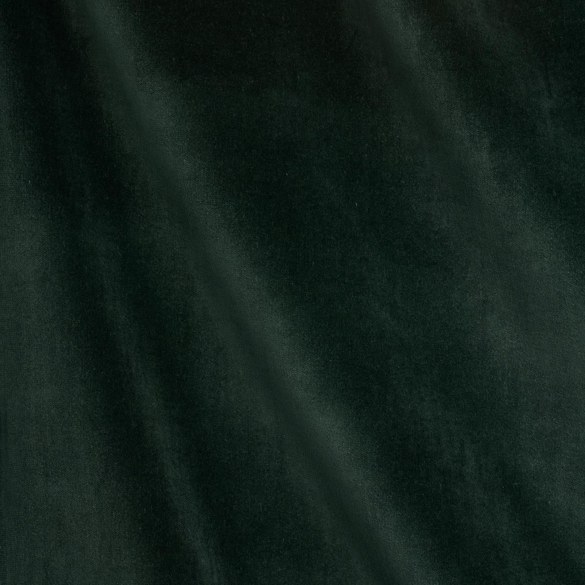 ROCKY PERFORMANCE VELVET PINE