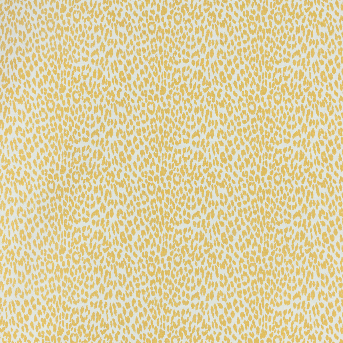 LEOPARD BY RAOUL GOLD
