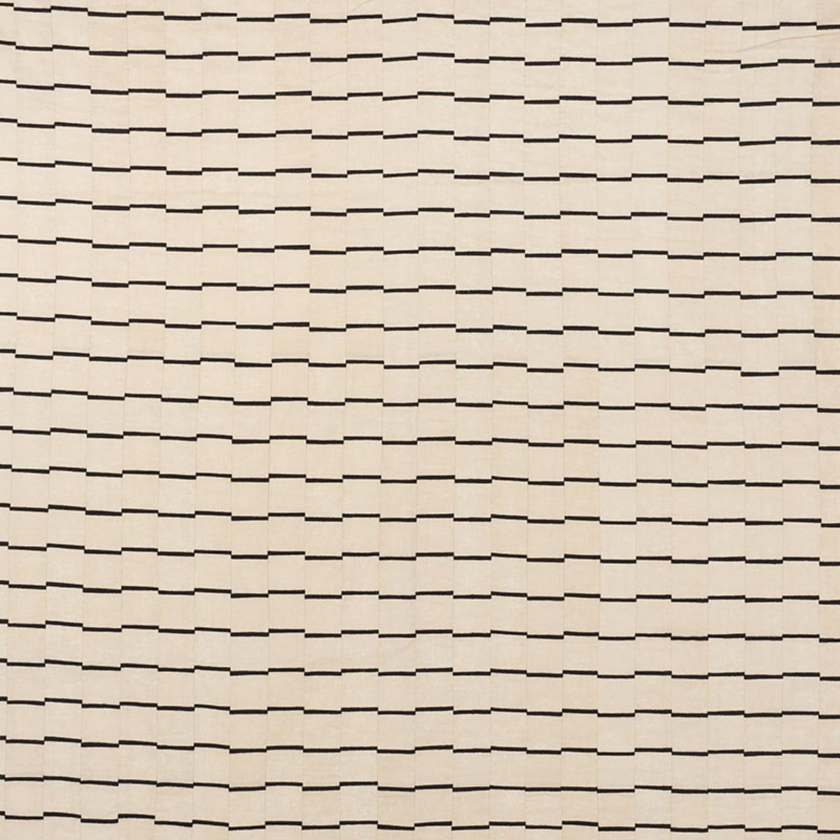 LINES BLACK