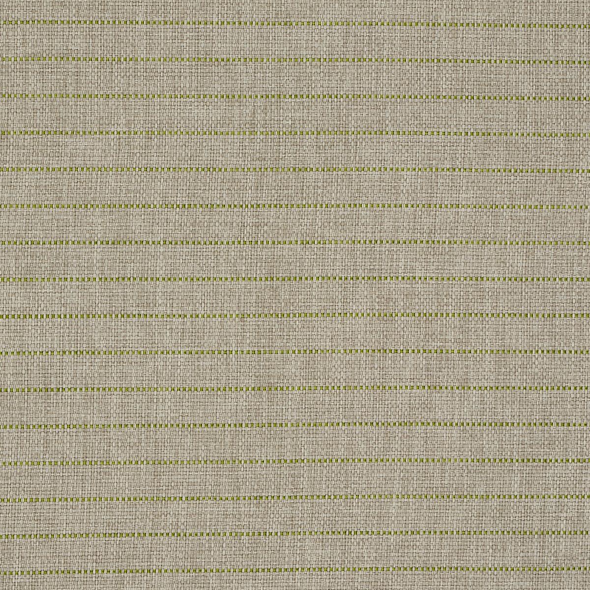 MANNING STRIPE INDOOR/OUTDOOR LIME