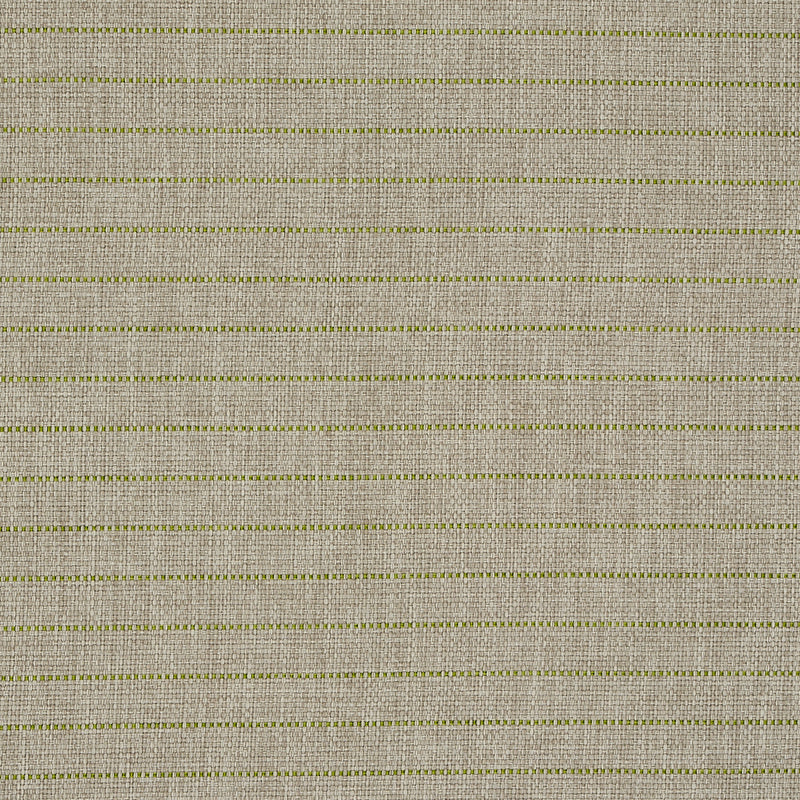 Schumacher MANNING STRIPE INDOOR/OUTDOOR LIME Fabric | Atlanta Fabrics