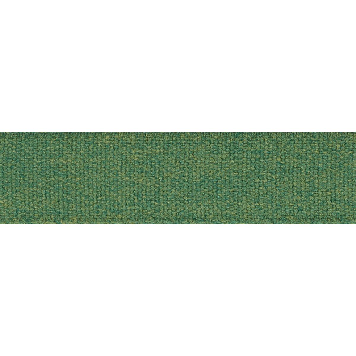 Schumacher ASHWOOD TAPE INDOOR/OUTDOOR GREEN Trim | Atlanta Fabrics