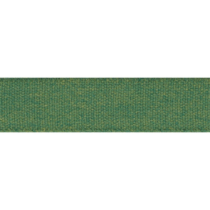 Schumacher ASHWOOD TAPE INDOOR/OUTDOOR GREEN Trim | Atlanta Fabrics