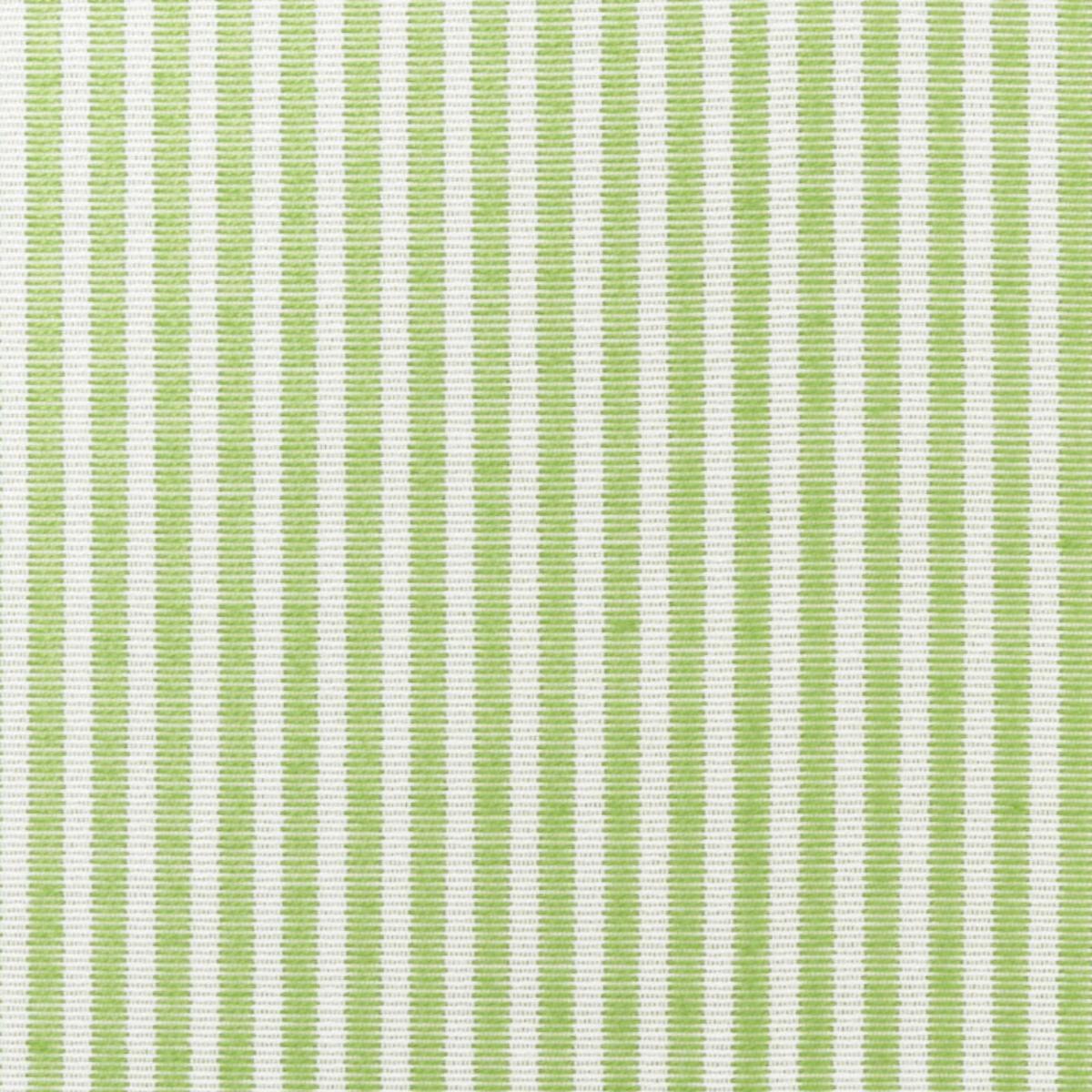 EASTON STRIPE INDOOR/OUTDOOR LEAF