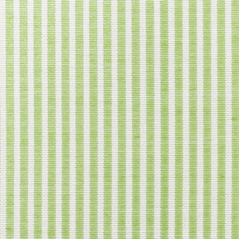EASTON STRIPE INDOOR/OUTDOOR LEAF