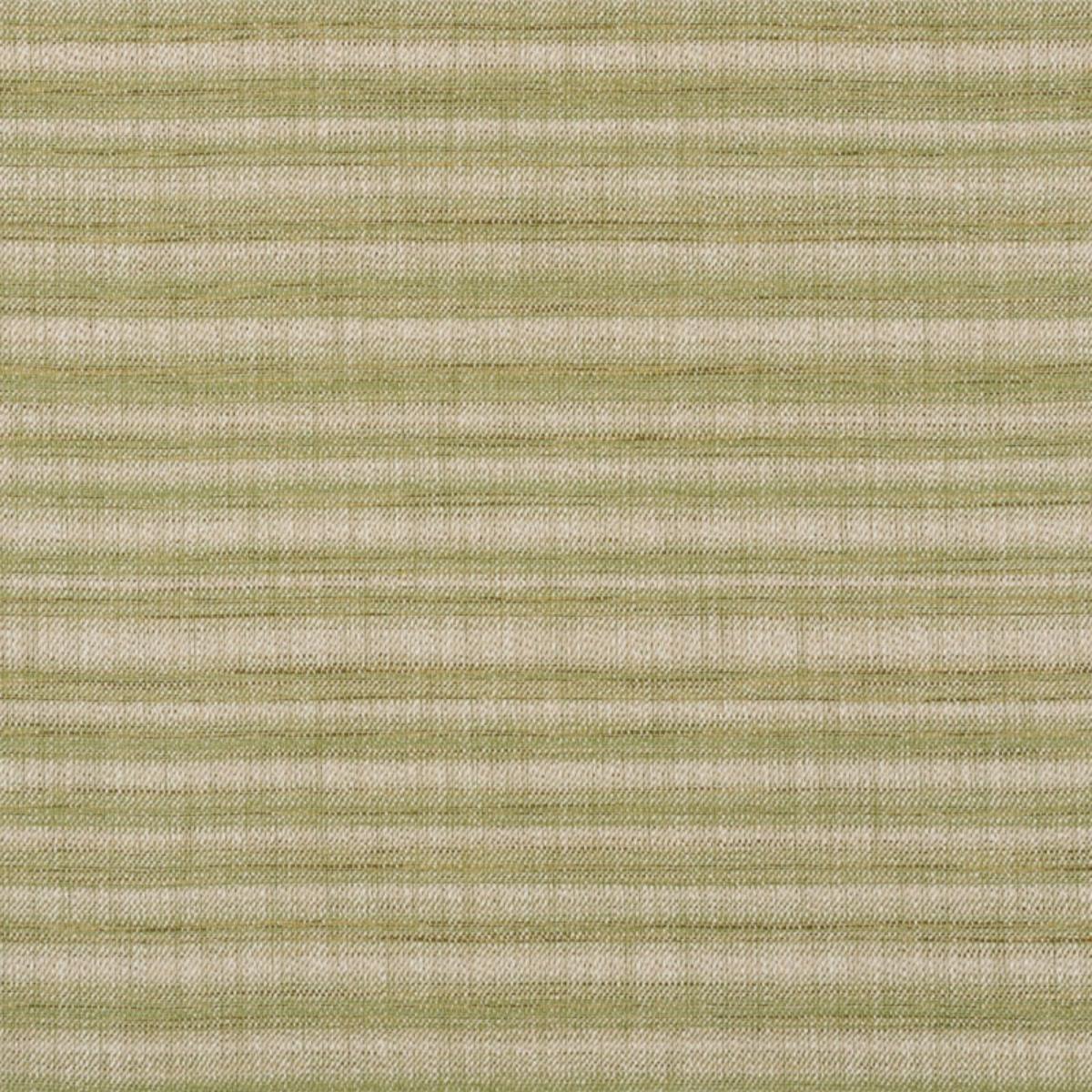 PETRA STRIPE GRASS