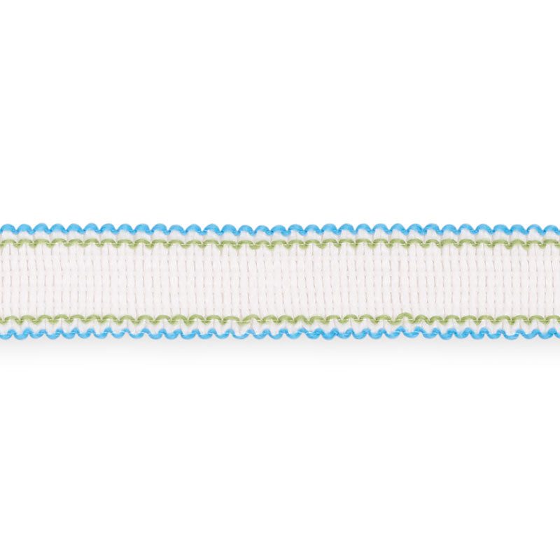 Schumacher FILIPPA TAPE INDOOR/OUTDOOR AQUA Trim | Atlanta Fabrics