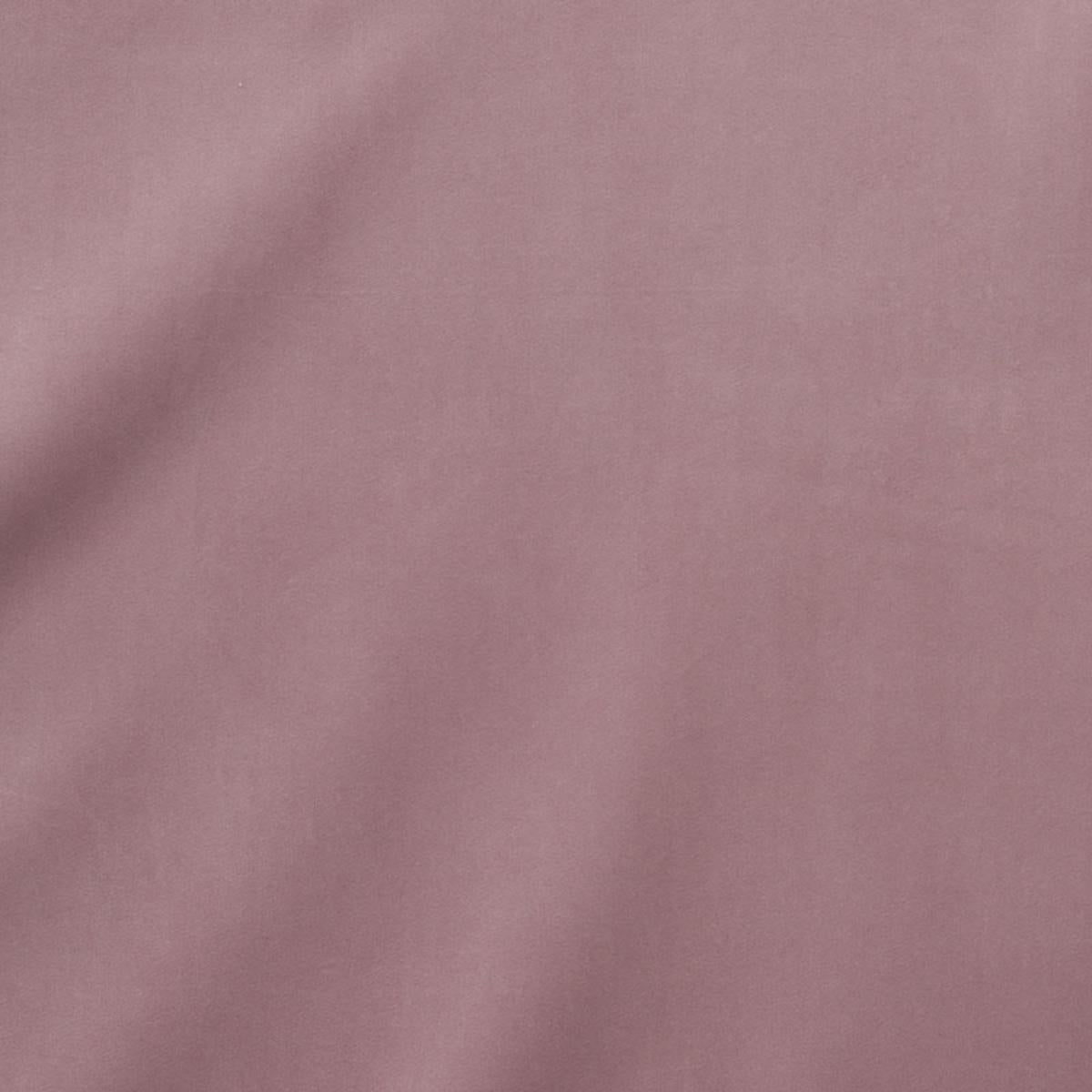 EMPRESS PERFORMANCE VELVET THISTLE