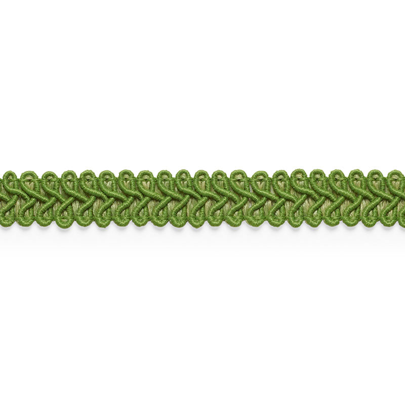 Schumacher ASTOR BRAID INDOOR/OUTDOOR LEAF Trim | Atlanta Fabrics