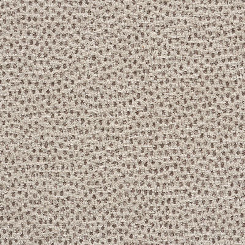 Schumacher STINGRAY ZINC Fabric | Atlanta Fabrics