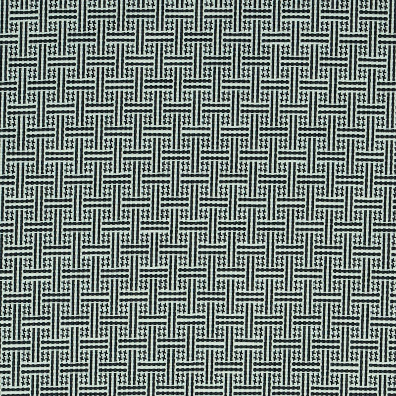 SCHUMACHER BRICKELL INDOOR/OUTDOOR BLACK FABRIC | Atlanta Fabrics