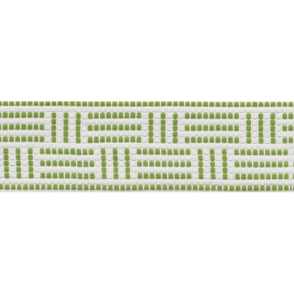 Schumacher BRICKELL TAPE INDOOR/OUTDOOR LEAF Trim | Atlanta Fabrics