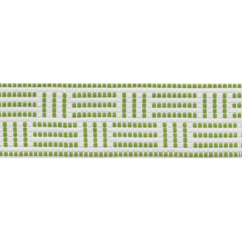Schumacher BRICKELL TAPE INDOOR/OUTDOOR LEAF Trim | Atlanta Fabrics