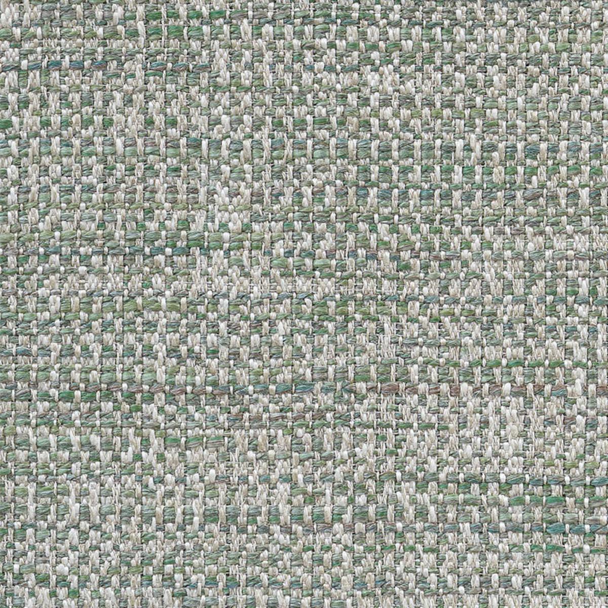 AUCKLAND PERFORMANCE GRASS