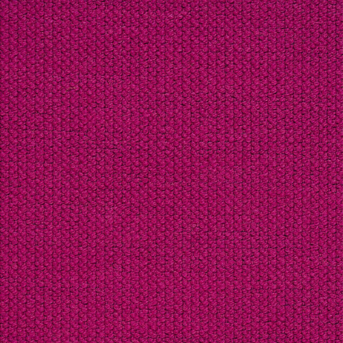 ALPINE FUCHSIA