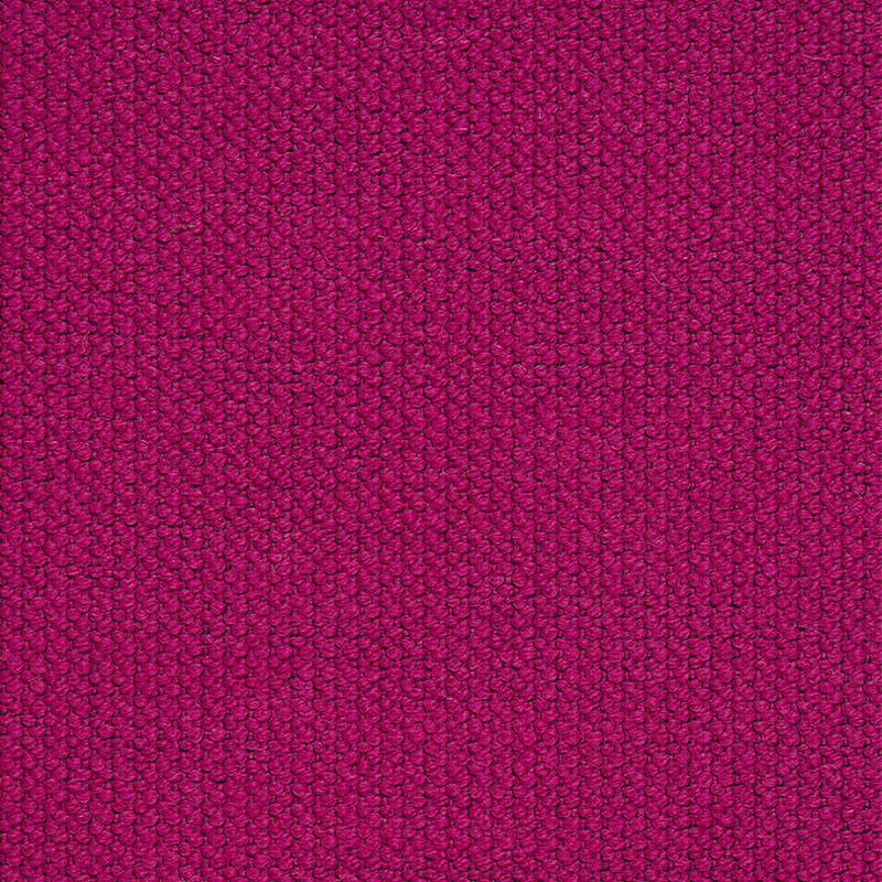 ALPINE FUCHSIA