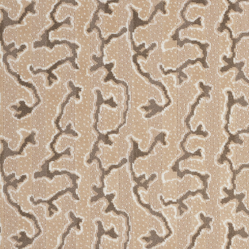 Schumacher CORAIL VELVET CHAMPAGNE Fabric | Atlanta Fabrics