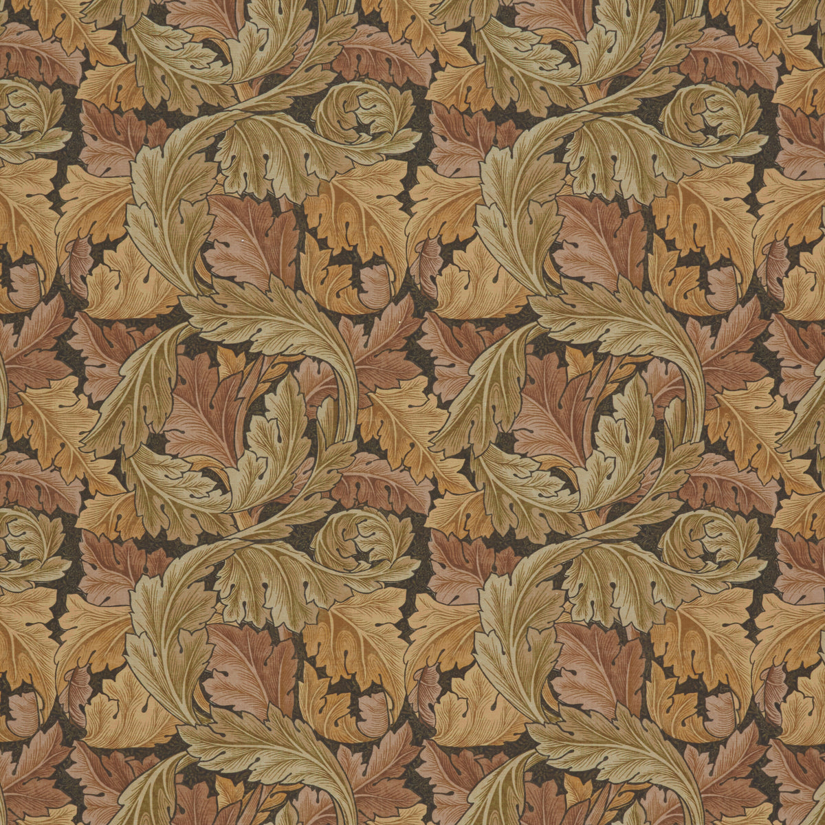 7859 ACANTHUS 1 HENNA