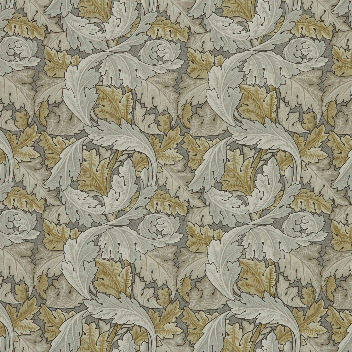 7859 ACANTHUS 2 DUSK