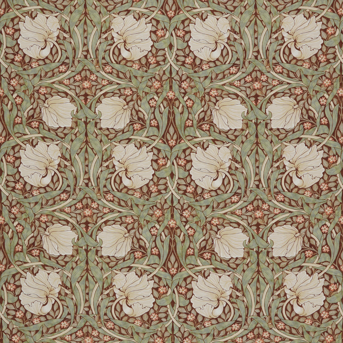 7865 PIMPERNEL 1 WINE