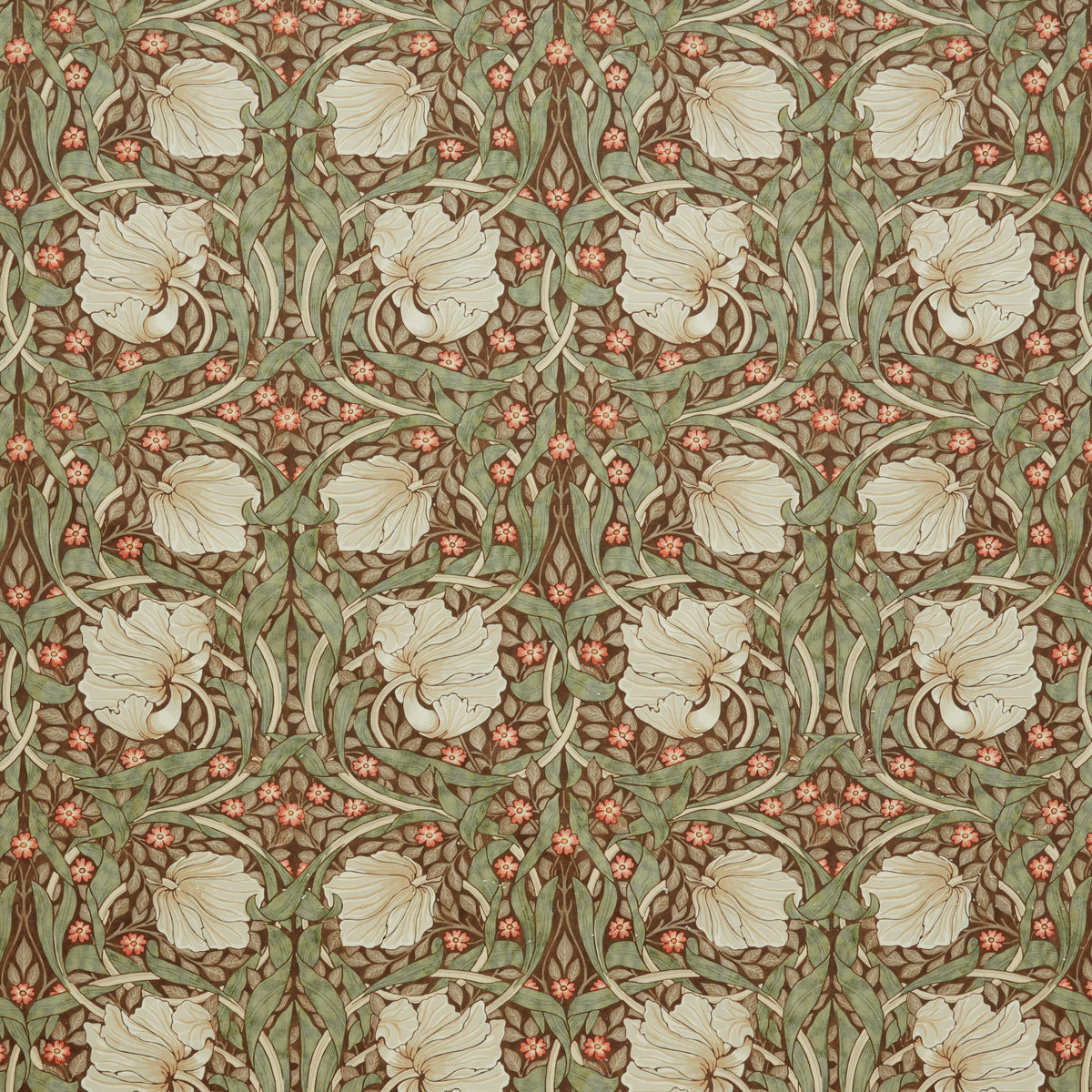 7871 PIMPERNEL VELVET 1 WINE