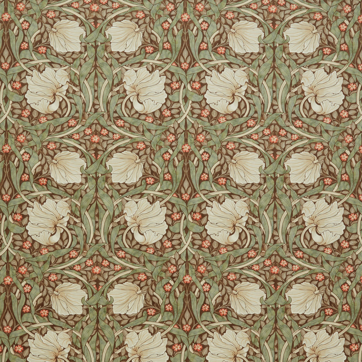 7871 PIMPERNEL VELVET 1 WINE