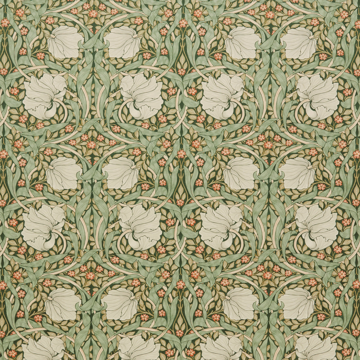 7871 PIMPERNEL VELVET 4 HUNTER